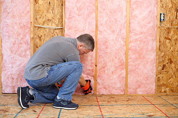 Best Spray Foam Insulation in Pecan Plantation, TX