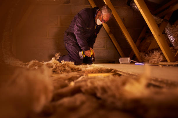 Best Cellulose Insulation in Pecan Plantation, TX